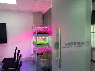 新聞中心的照明設(shè)備 科技與藝術(shù)的交融，打造專業(yè)傳播空間