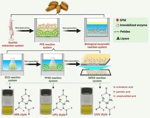 廣西蠶業(yè)信息網(wǎng) 網(wǎng)絡科技驅(qū)動下的技術創(chuàng)新與發(fā)展